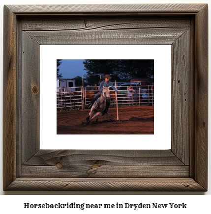 horseback riding near me in Dryden, New York